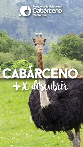 Cabárceno